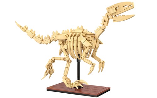 Cada velociraptor dinosaur - cada,