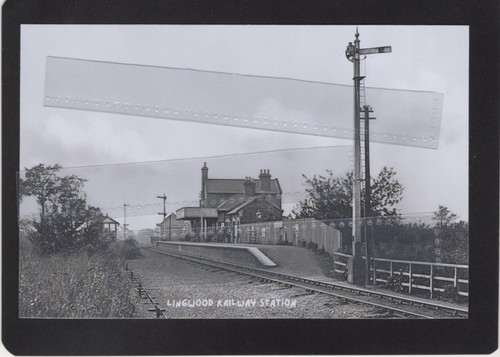 Lingwood railway station - lingwood,