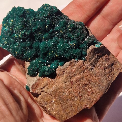 Dioptase with mimetite trace - with,