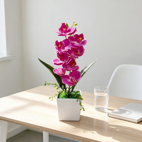 Phalaenopsis orchid replica - phalaenopsis,