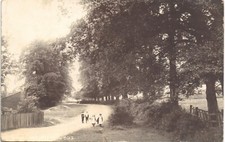 Theydon Bois near Epping. Loughton Lane.