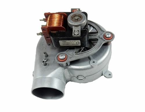 Worcester junior 24i - 24i, rsf