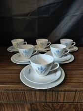 Seltmann Weiden k Crocus