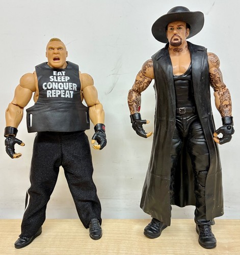Wwe brock lesnar vs the - wwe,