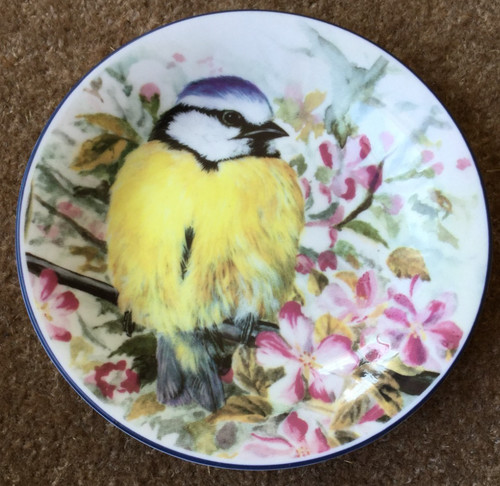 Pin dish blue tit royal - royal, kendal