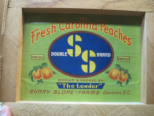 Genuine vintage sunny - genuine,