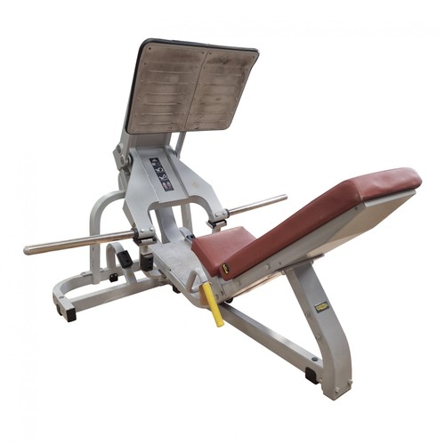 Technogym pure strength plate - strength,