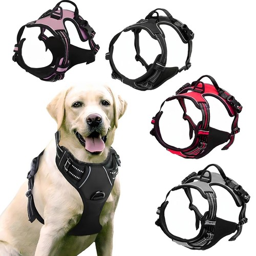 Rabbitgoo pull pet dog - no-pull,