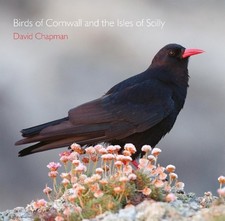 Birds of Cornwall and the