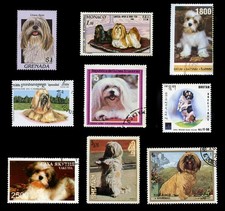 LHASA APSO Dog Postage Stamp
