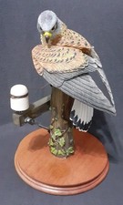 Limited Edition Border Fine Arts Classic ‘Kestrel’ Sculpture with Original Box