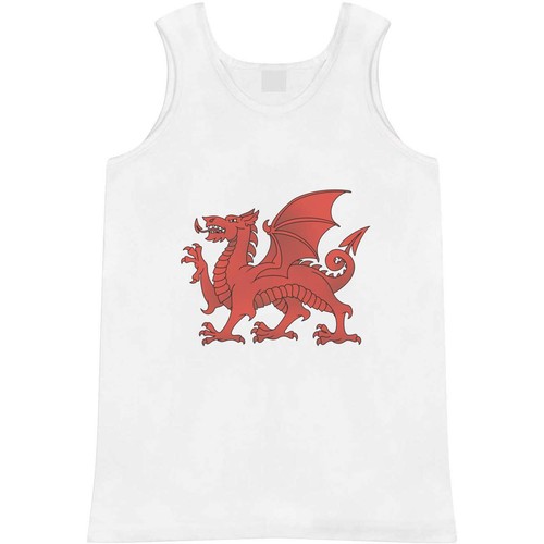 Traditional welsh dragon - welsh, dragon'