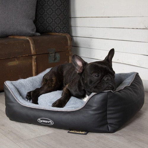 Memory foam dog bed scruffs - dog,