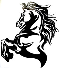 Extra large horse box - extra,