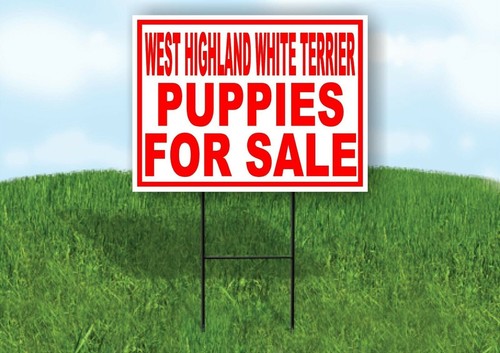 West highland white terrier - highland,