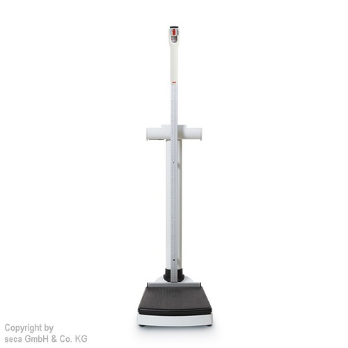 Seca 704s column - 704s, scale