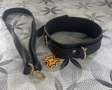 Genuine Leather Black Bondage