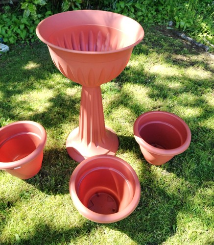 Olympus urn plant pot - plant, outdoor