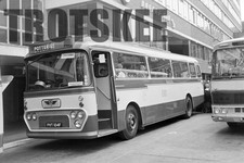 35mm Negative Potteries PMT