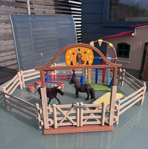 Horse training arena playset - horse,