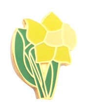 Wales daffodil david day - wales,