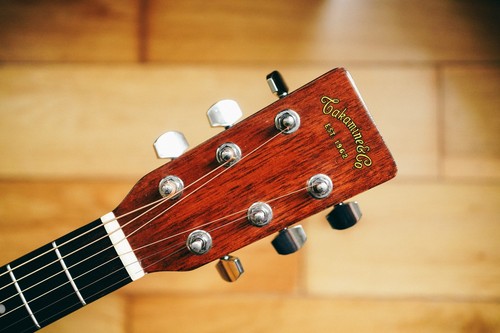 1983 takamine tdc - tdc-35,