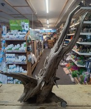 Large Corbo Root Aquarium Bogwood Vivarium Root Driftwood Catfish Cave