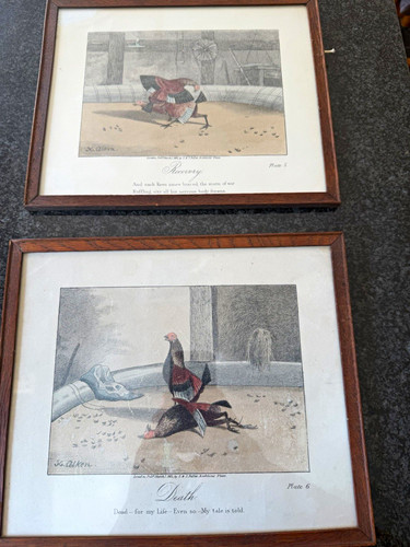 Alken set 6 framed bird - set,