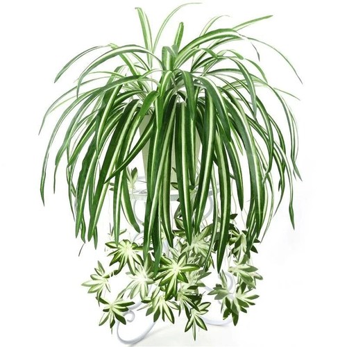 Artificial plants wall - plants, hanging