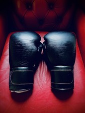 Winning boxing gloves 14oz - |,