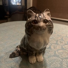 Winstanley Tabby Fluffy Cat