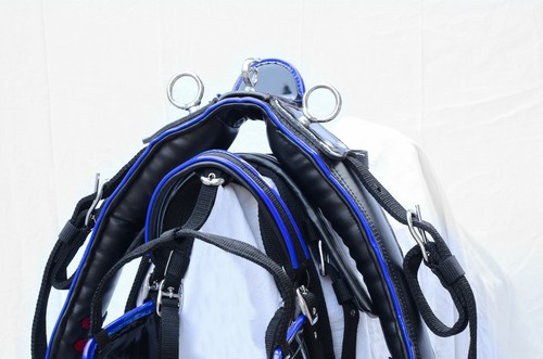 Nylon webbing horse harness - nylon,