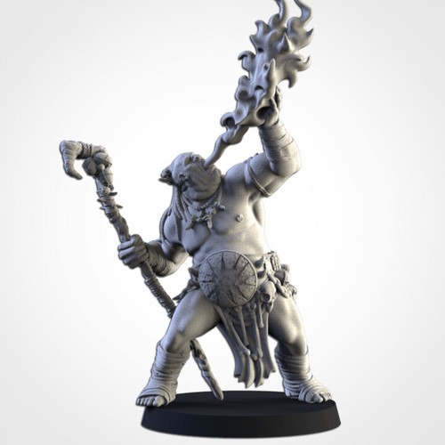 Ogre shaman fire - fire,