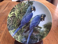 MACAW PLATE - LEARS MACAWS - FRAGILE PARADISE - WEDGWOOD - PARROT