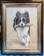 Border Collie Original Fine