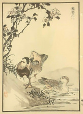 BAIREI MANDARIN DUCK DUCKS Print Of an 1880s JAPANESE WOODBLOCK Bird Print