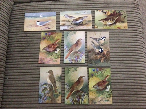Collection vintage - of,