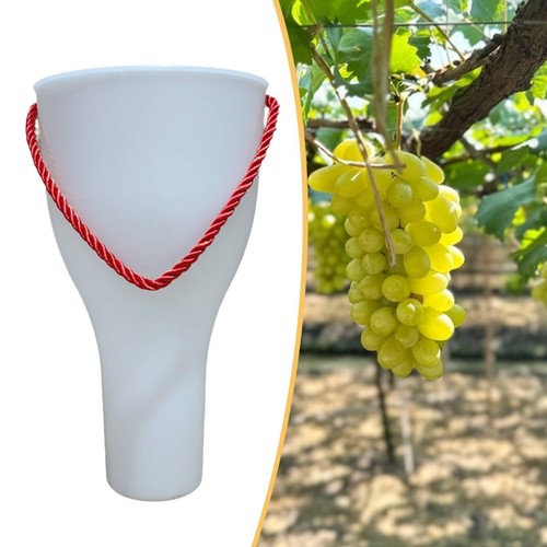 Grape dipping cup - dipping,