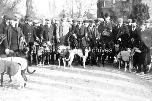 Fds social history hare - social, history,