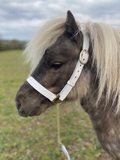 IN-HAND HALTER WHITE LEATHER