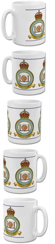 London university air squadron - university,