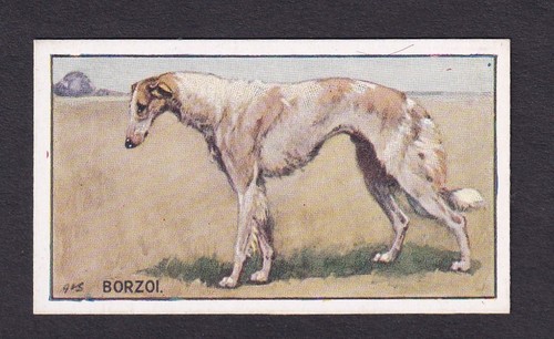 Sanders crystal jelly dogs - crystal,