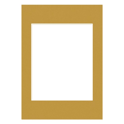 Antique gold picture mounts - antique,