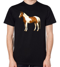 Pinto Piebald Skewbald Horse