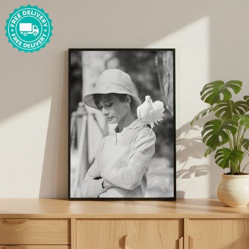 Audrey hepburn dress model - hepburn,