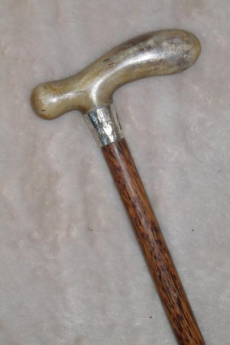 Antique palmwood walking stick - walking,