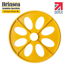 Maxi Incubator Extra Large Egg