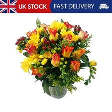 Clare Florist Rose and Freesia