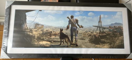 Fallout sole survivor - fallout,