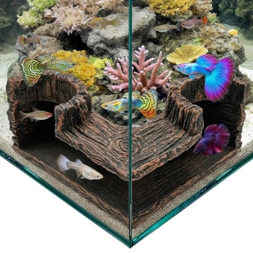 Aquarium cave corner fish - corner,
